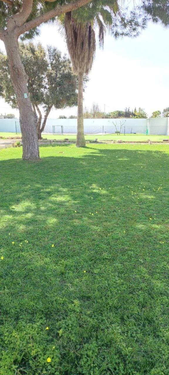 Habitacion En El Centro De Bienestar Tfm Cádiz Exteriör bild